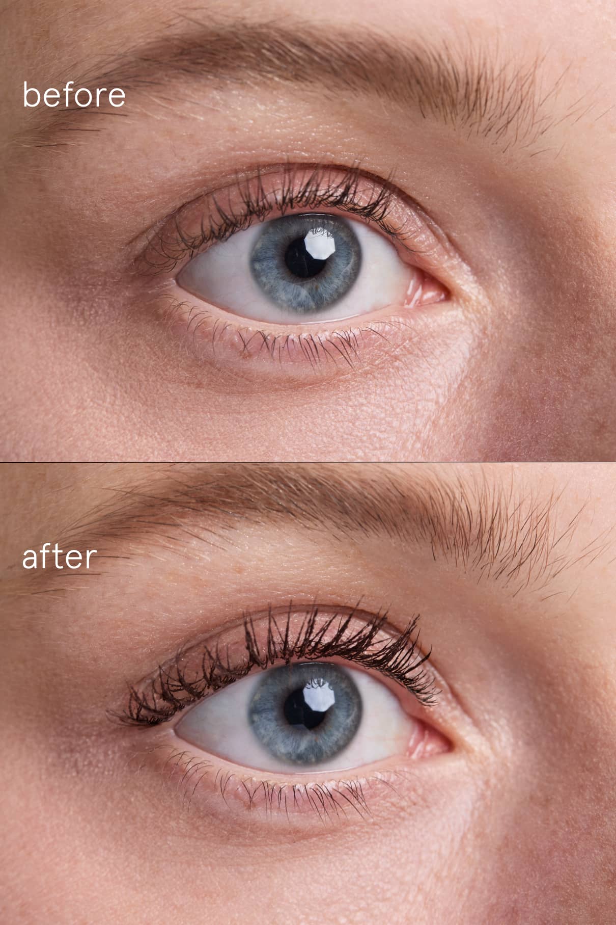 Lash & Cheek Duo - Image 4