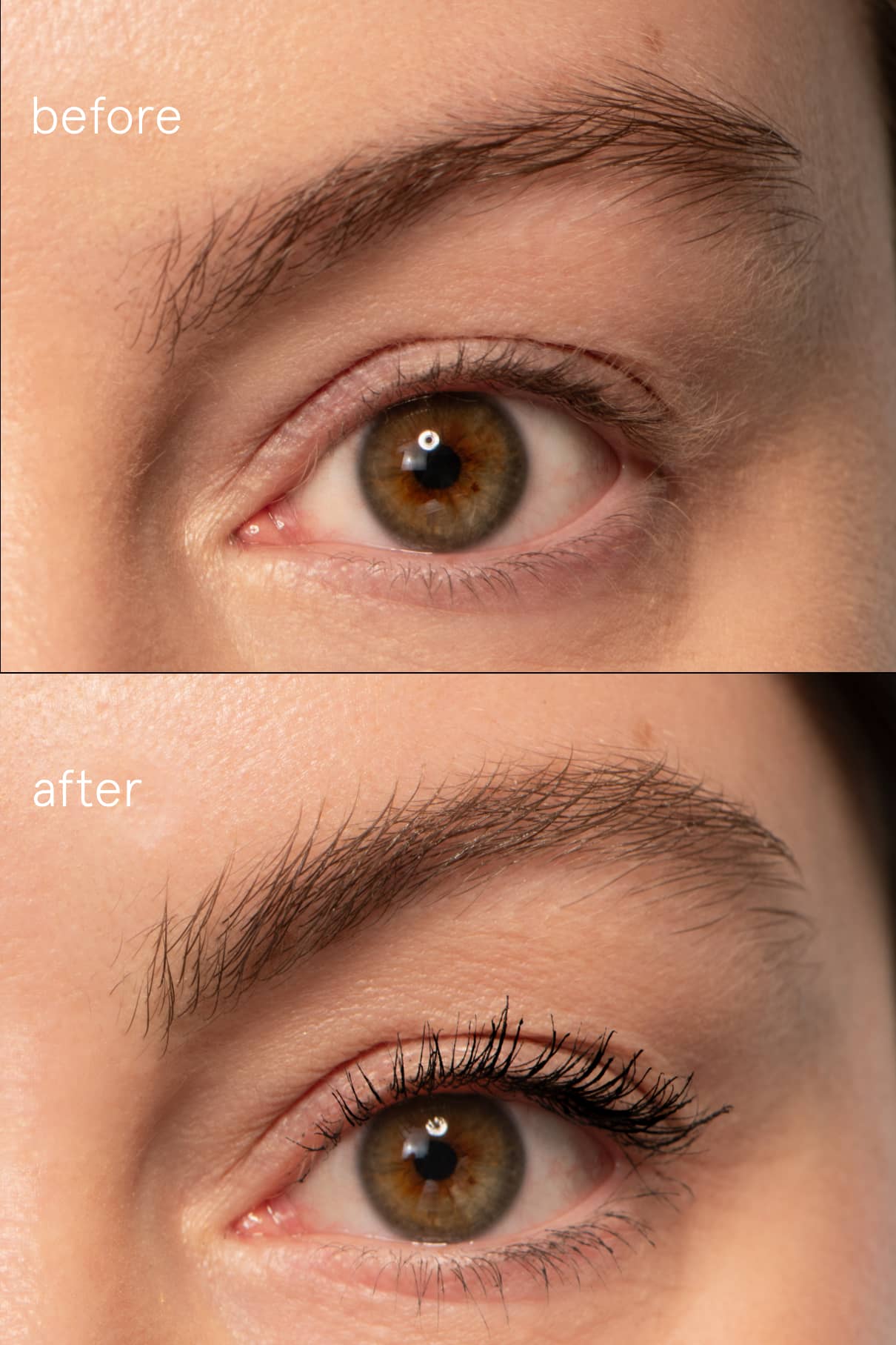 Lash & Brow Duo - Image 6