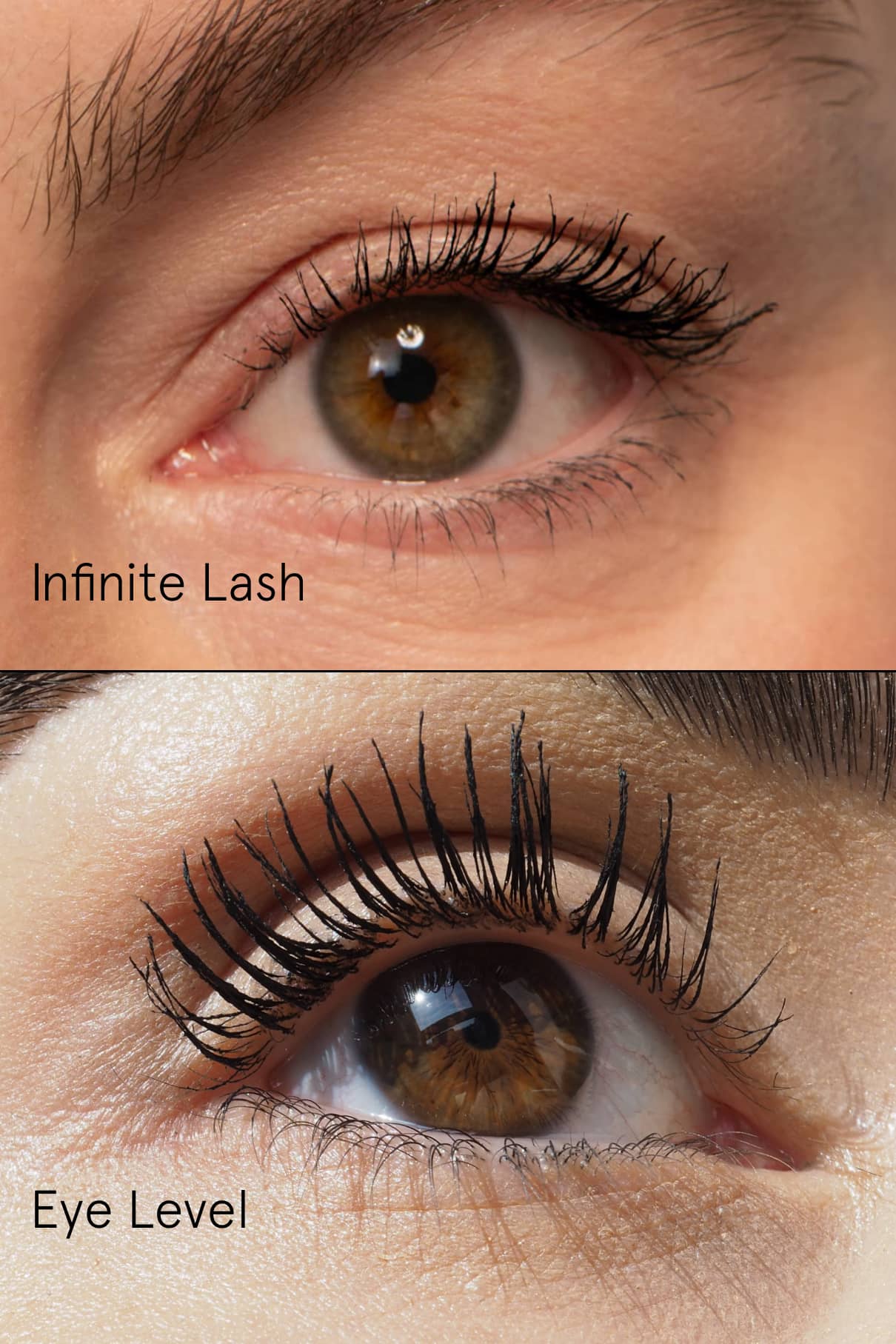 Lash Duo - Image 6