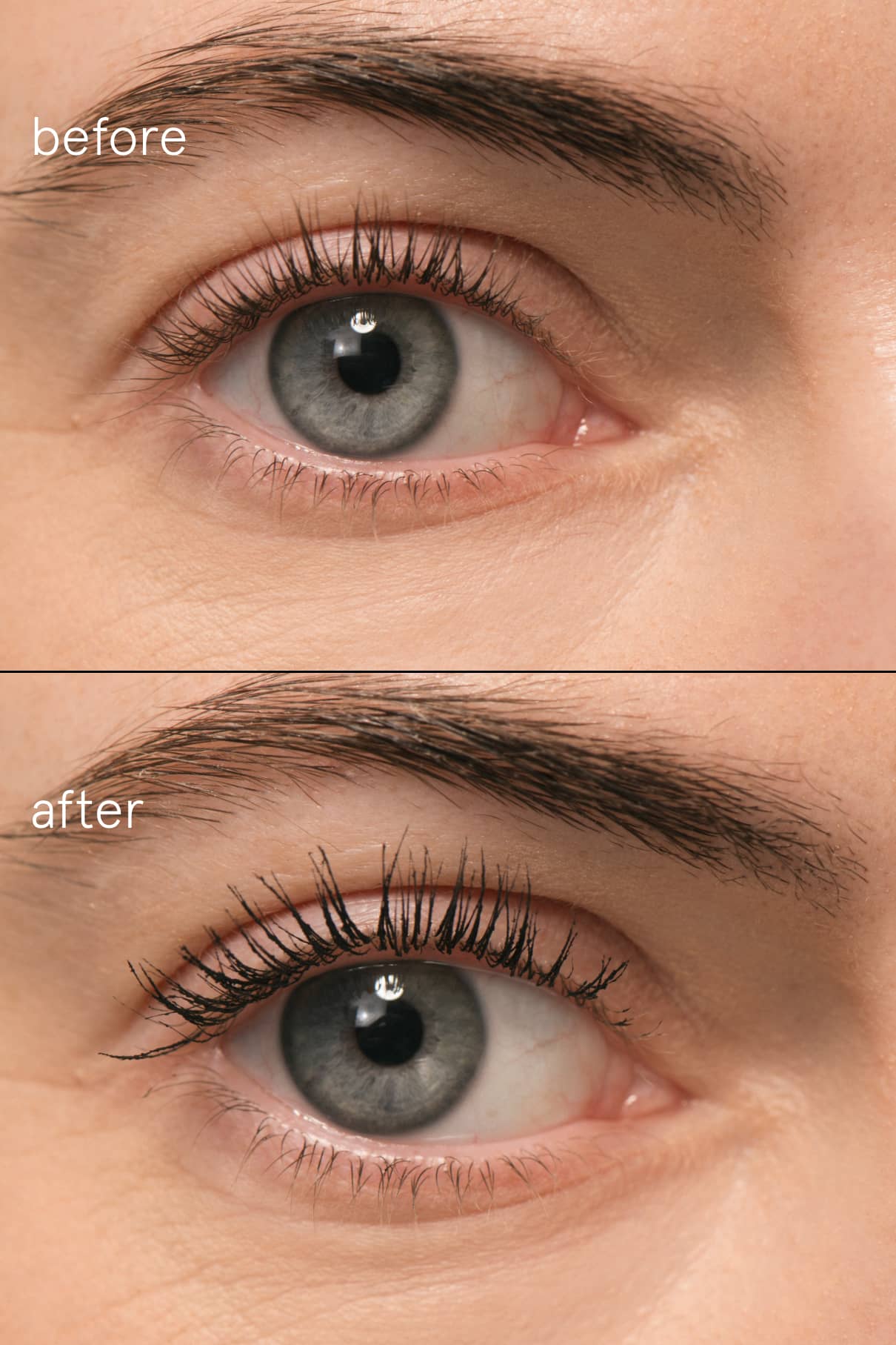 Lash Duo - Image 9