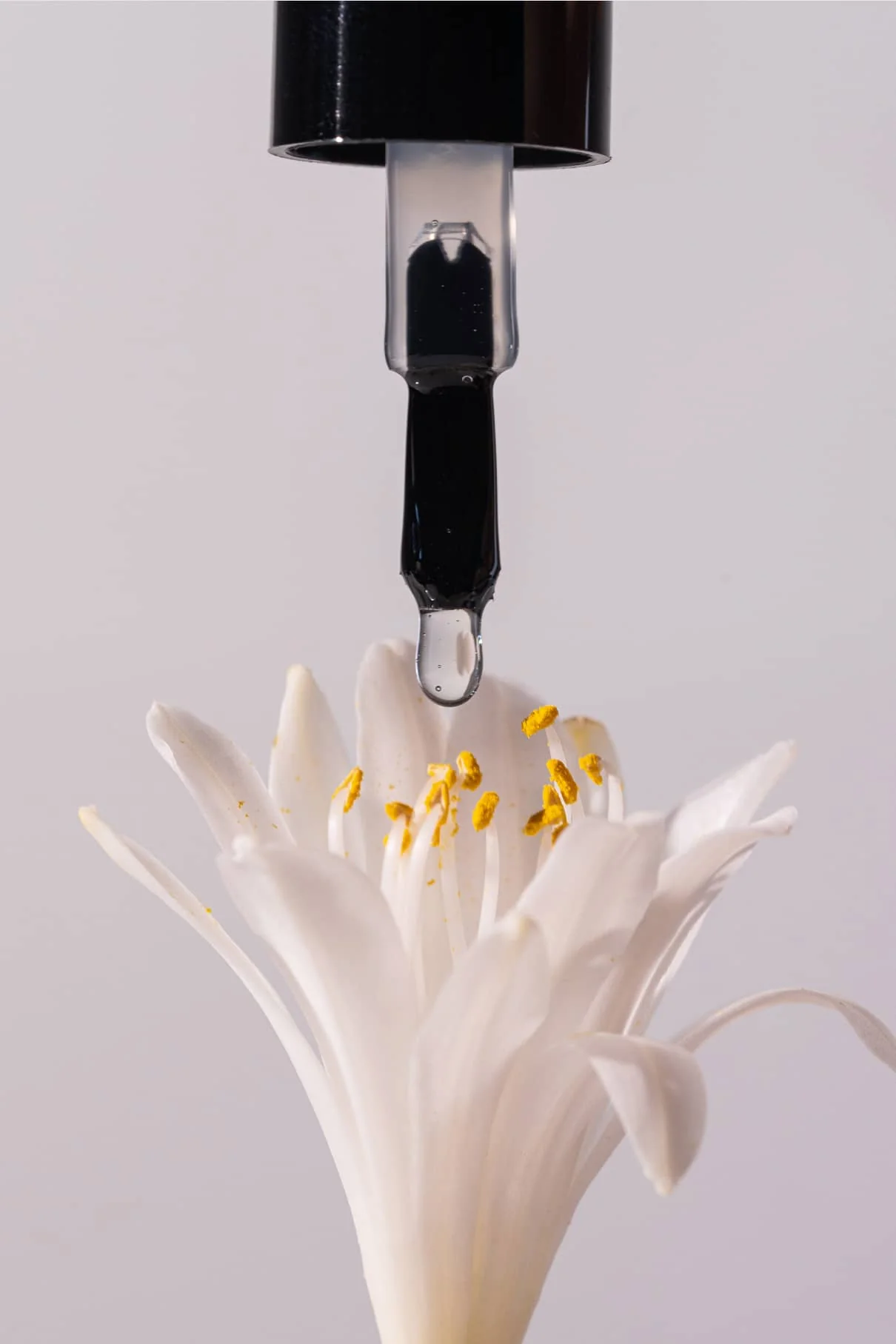 plantPRO Base Coat - Image 4