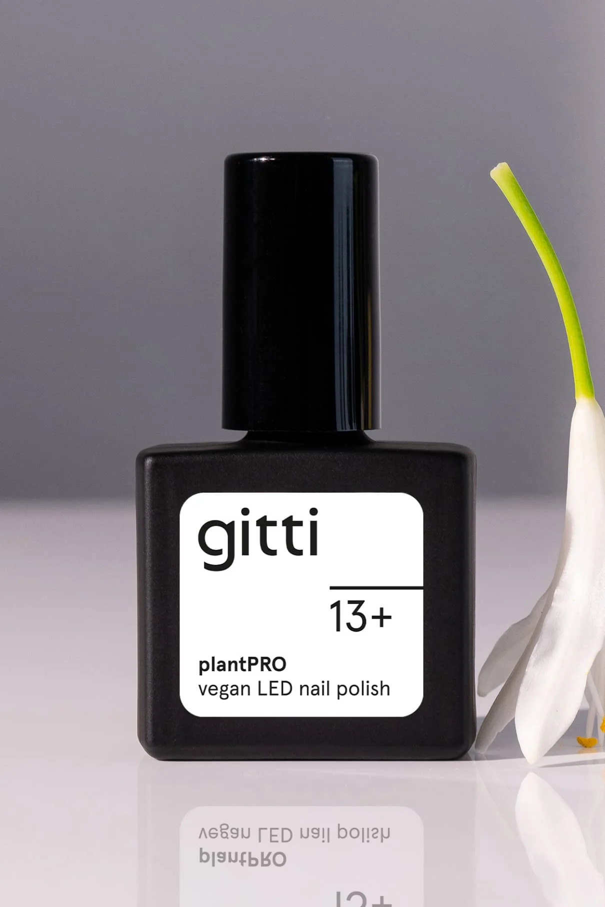gitti no. 13+ - Image 7