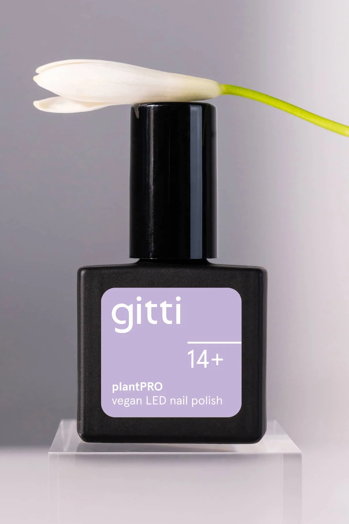 gitti no. 14+ - Image 7