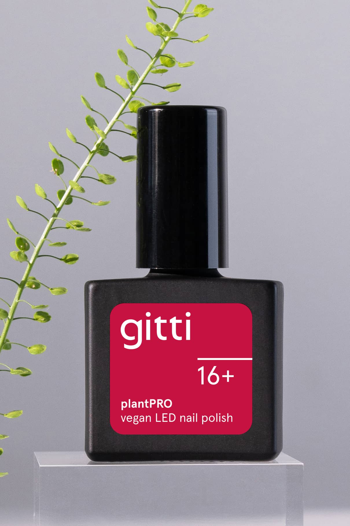 gitti no. 16+ - Image 7