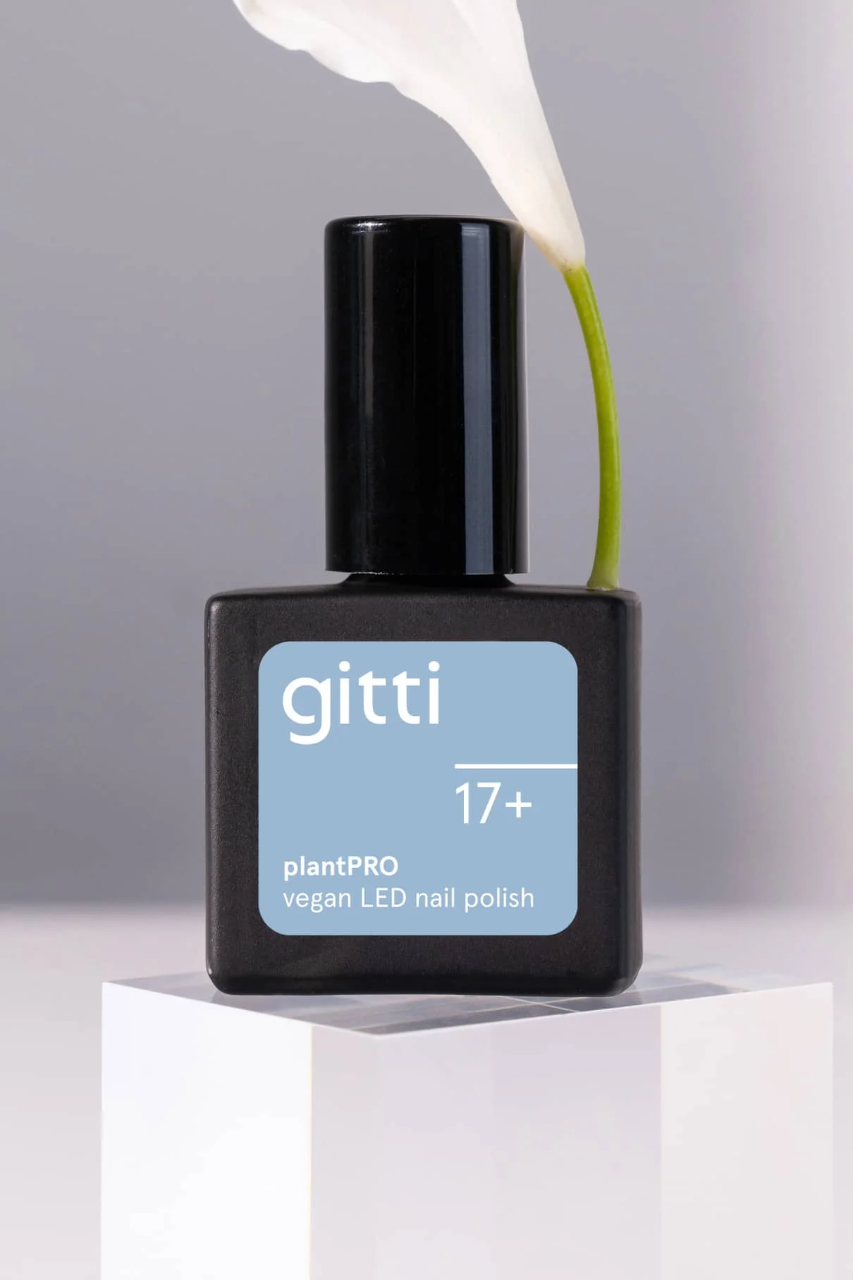 gitti no. 17+ - Image 7