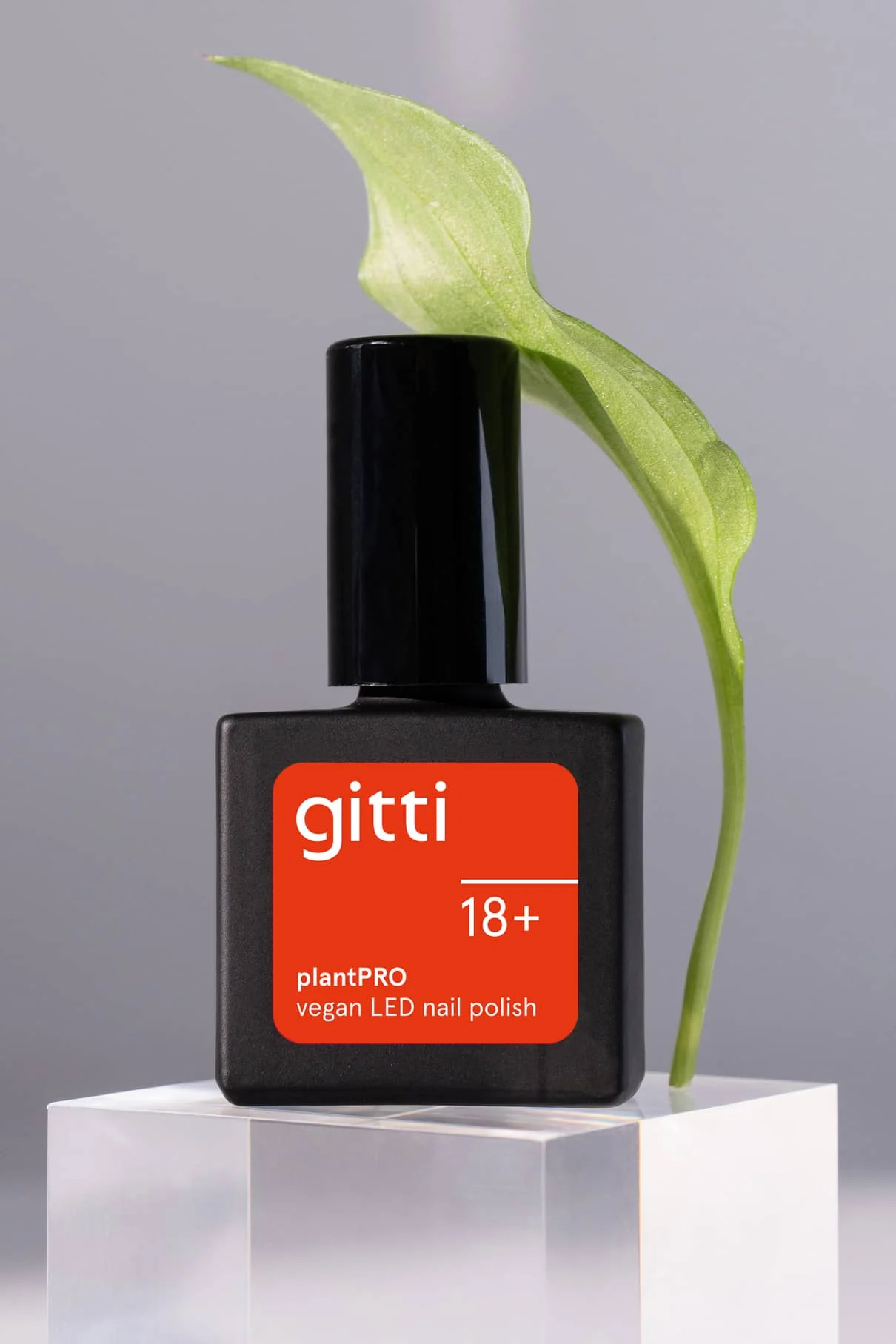 gitti no. 18+ - Image 7
