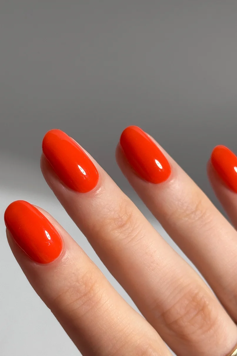 plantPRO Top Coat - Image 5